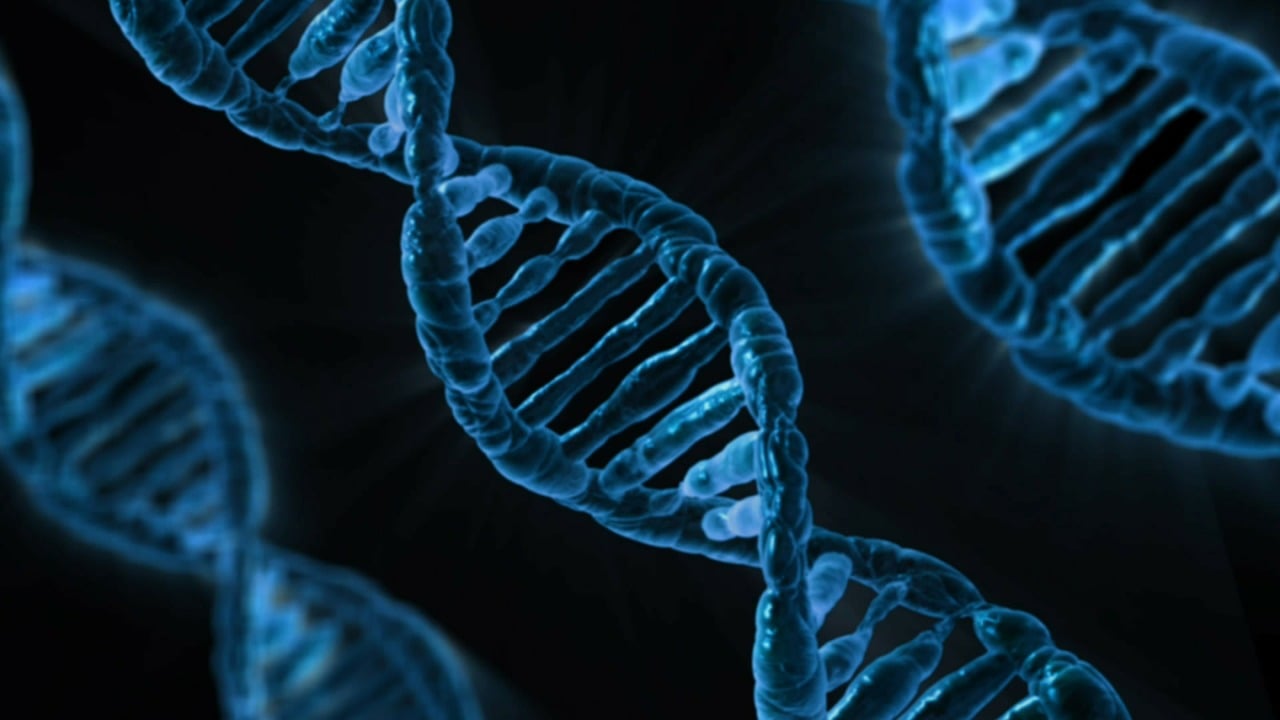 dna biology medicine gene microbiology science genetics genetic material laboratory dna dna dna dna dna biology medicine gene science genetics laboratory