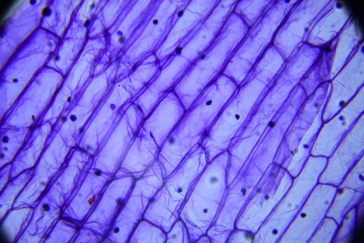 the drug  biology  microscope  microscope  microscope  microscope  microscope  microscope