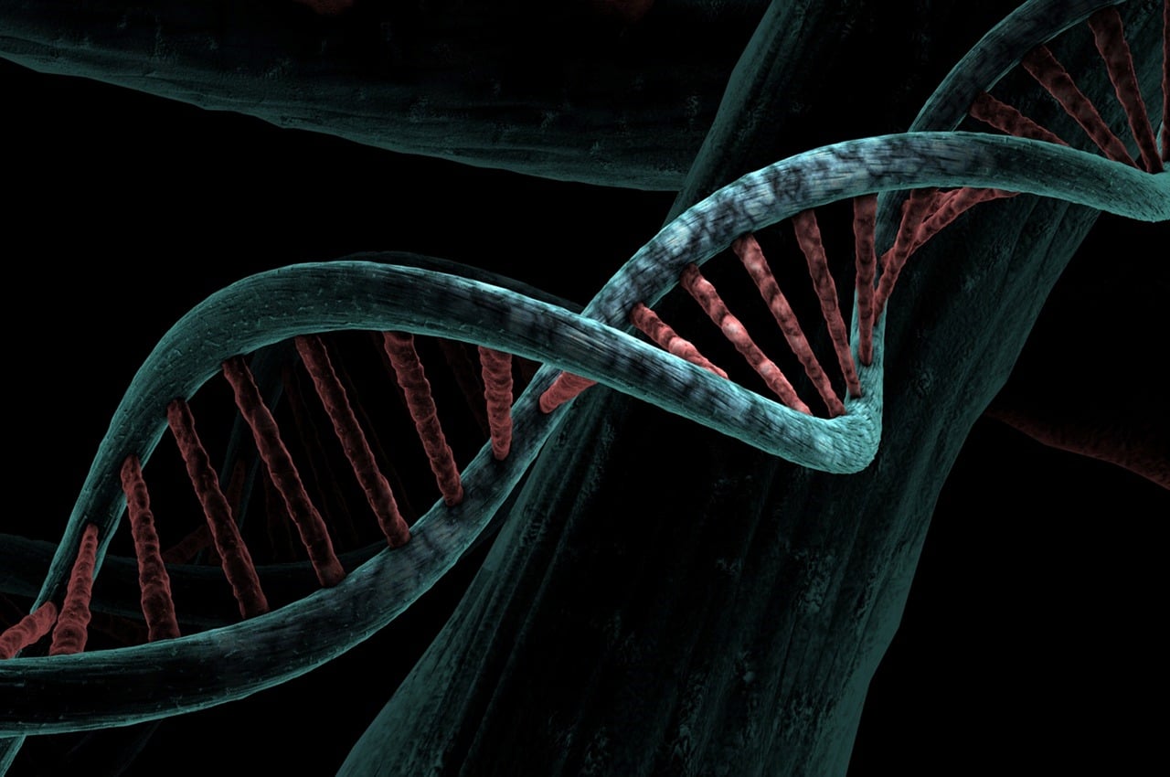 dna biological helix analysis study genetic deoxyribonucleic acid dna dna dna dna dna