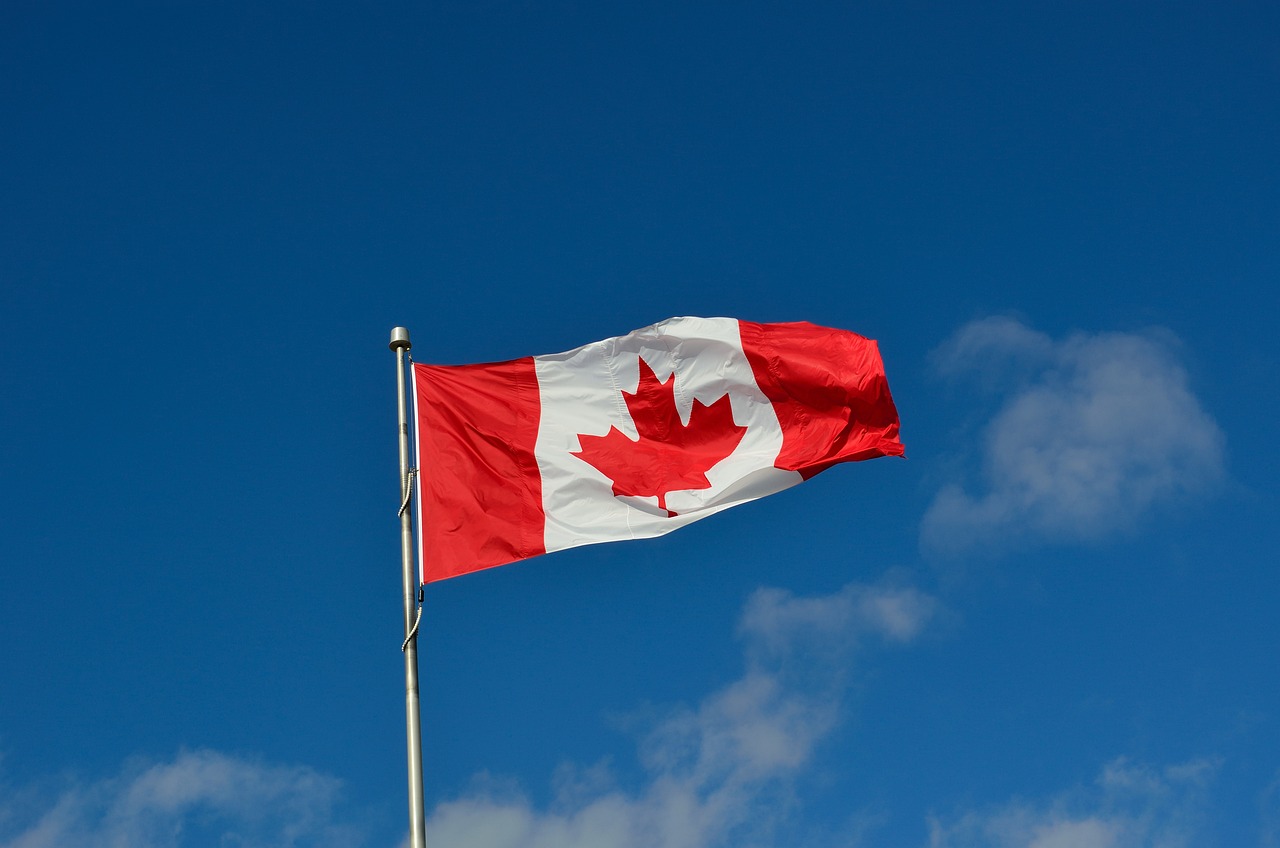 canadian flag canada maple