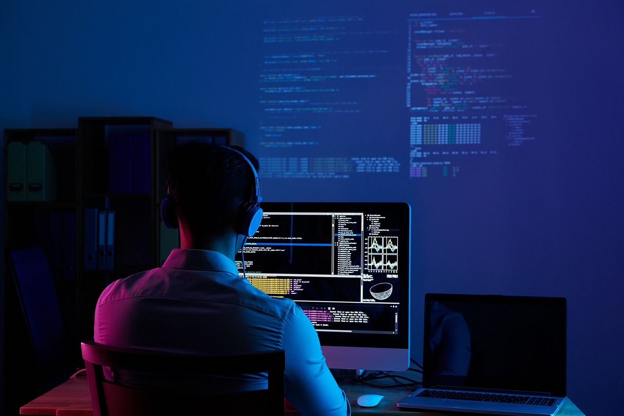 software developer web developer programmer
