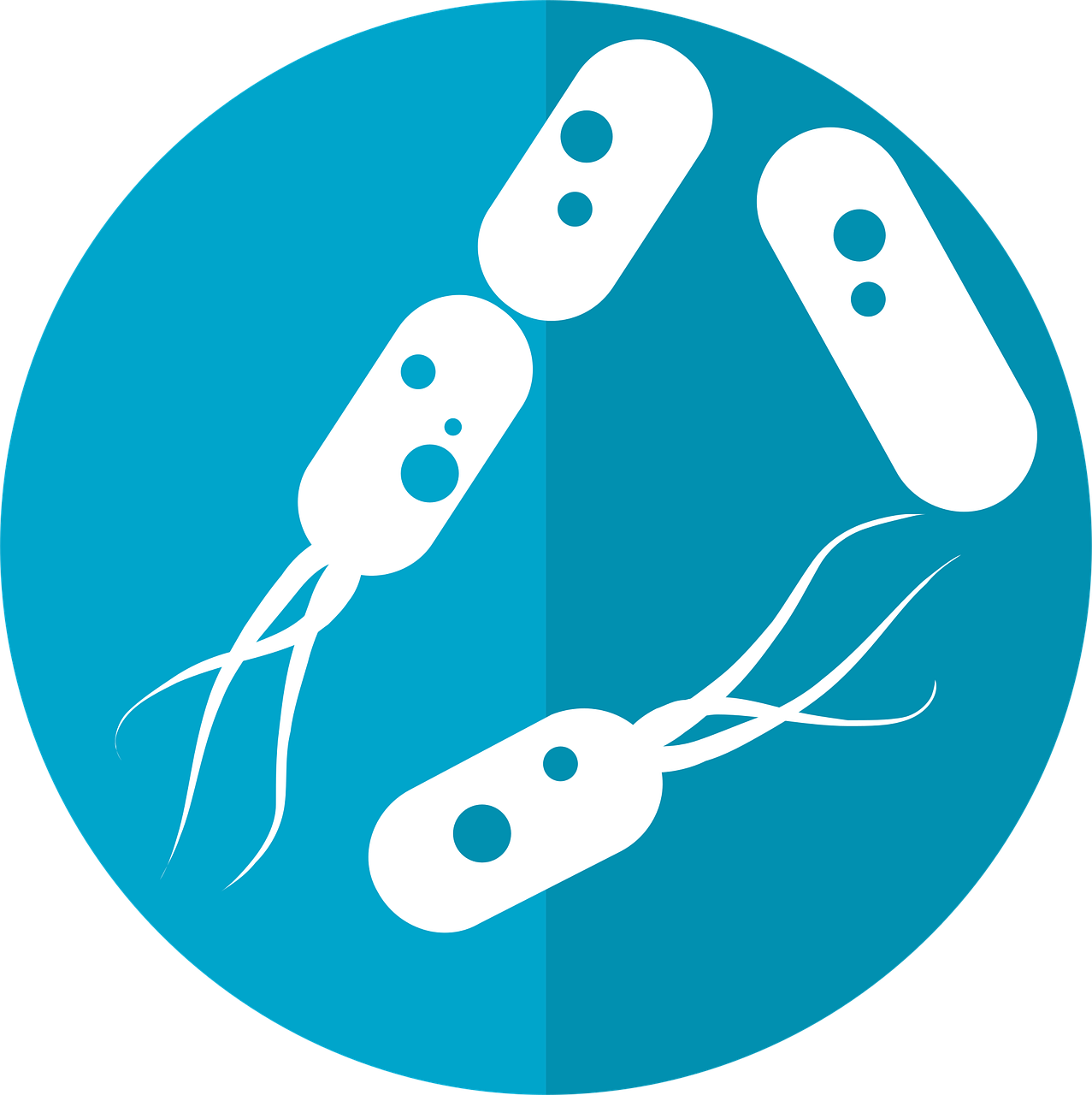 bacteria icon microbiome icon gut bacteria flora intestinal bacteria bacterium bacteria icon bacteria icon gut bacteria gut bacteria gut bacteria gut bacteria gut bacteria bacterium bacterium